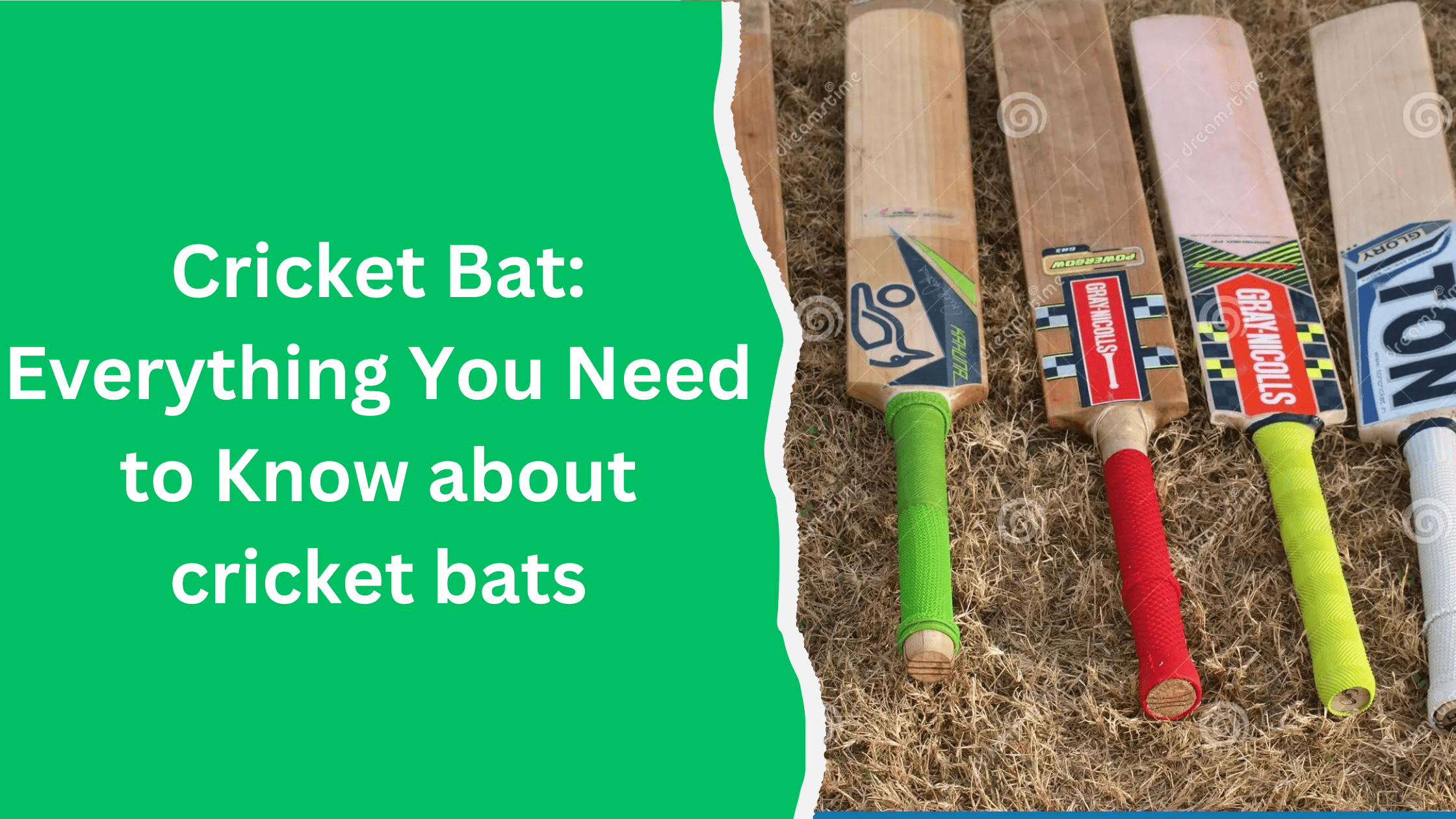 Cricket Bat: Everything You Need to Know about cricket bats